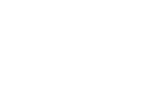 Gobiz Logo