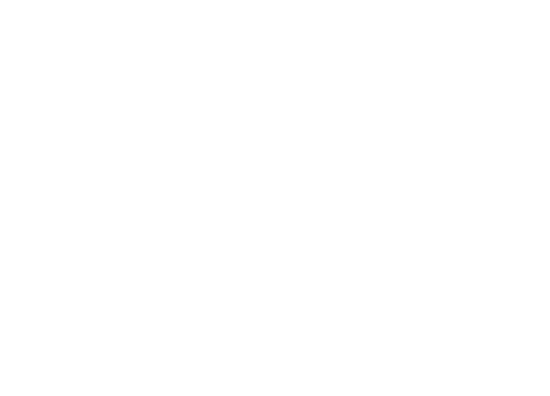 Orascom Development