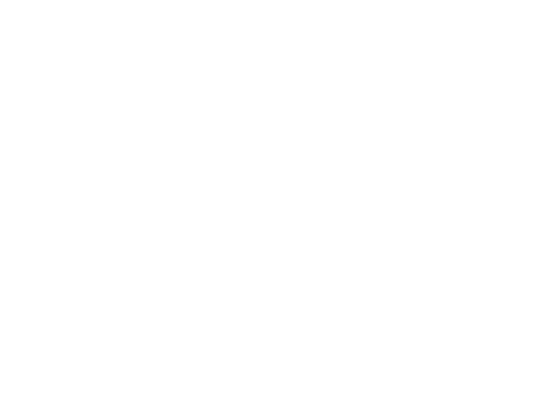 Kopernik Logo