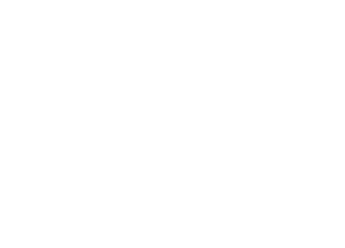 Google Partner