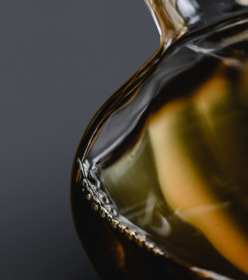 Raia Web Development by Fleava - Indonesia & Singapore Digital Agency